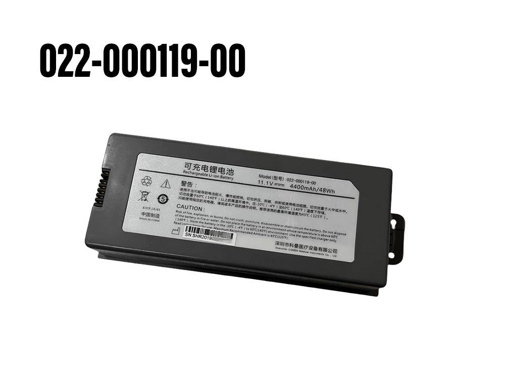Battery 022-000119-00