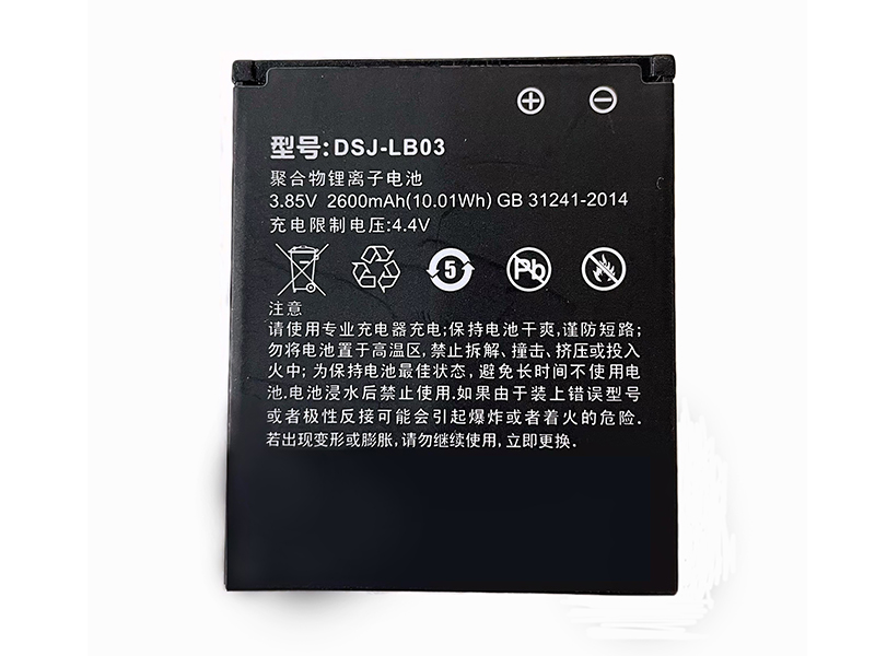 Battery DSJ-LB03