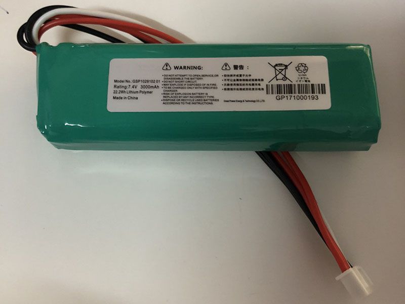 Battery GSP1029102_01