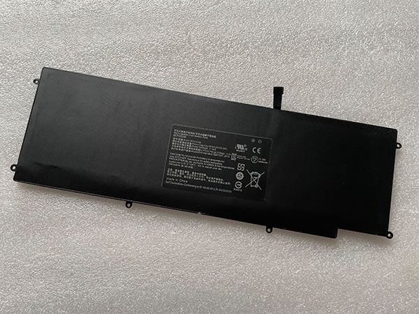 Battery RC30-0196