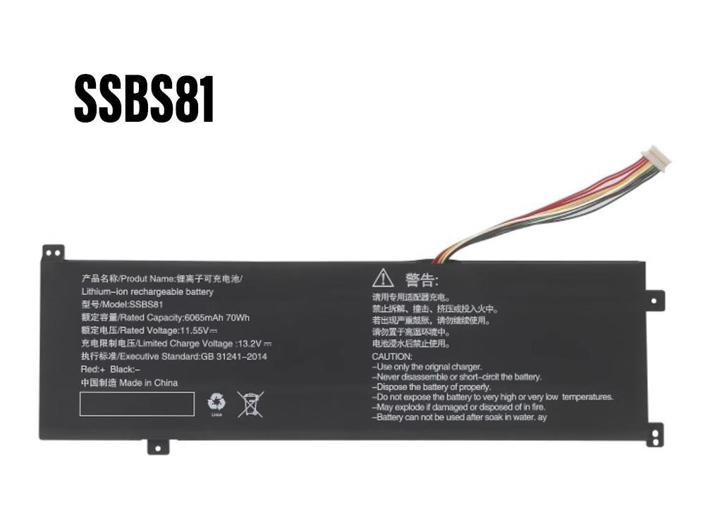 Battery SSBS81