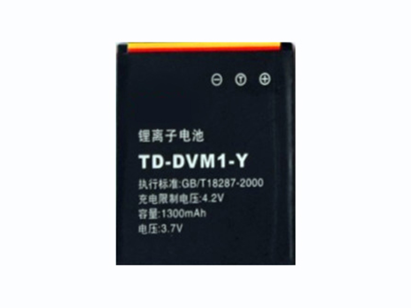 Battery TD-DVM1-Y