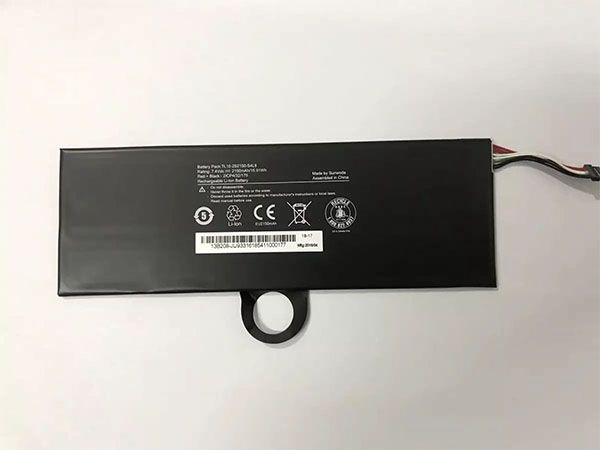 Battery TL10-2S2150-S4L8
