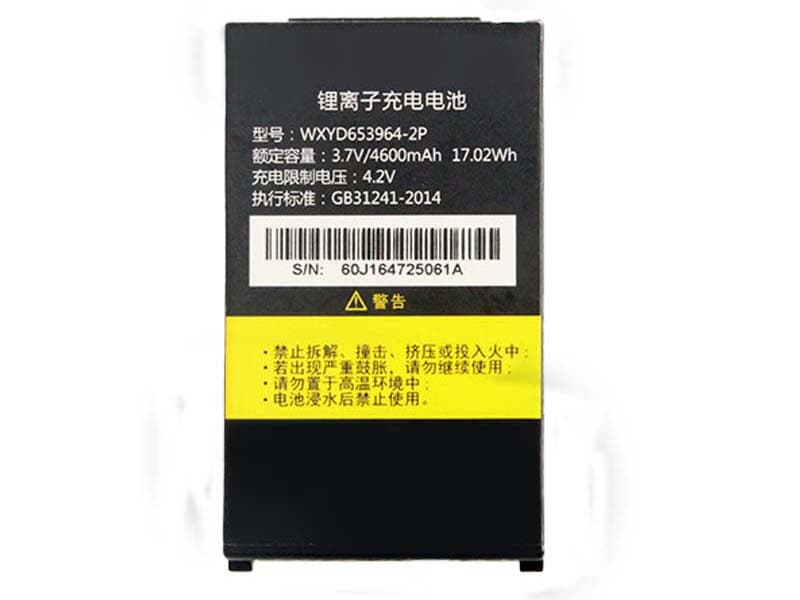 Battery WXYD653964-2P