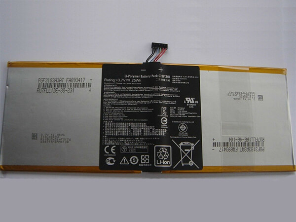 Battery C12P1301